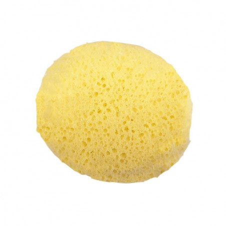 Esponja Hidrófila